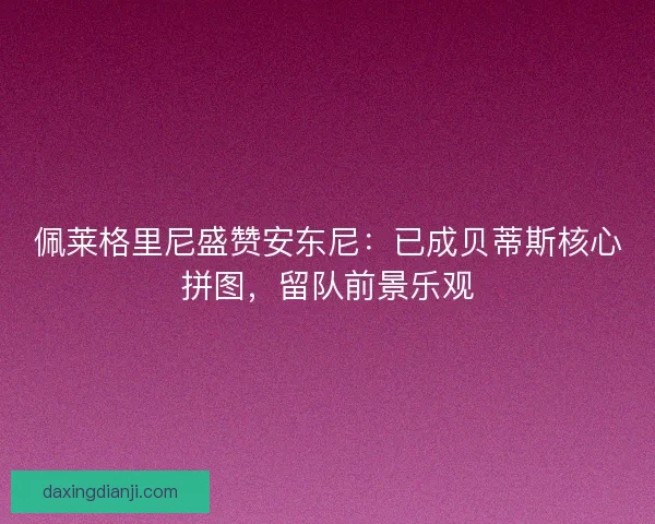 佩莱格里尼盛赞安东尼：已成贝蒂斯核心拼图，留队前景乐观