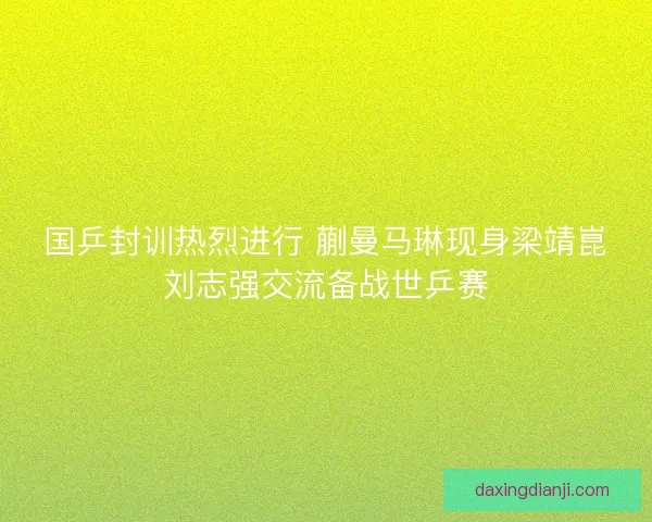 国乒封训热烈进行 蒯曼马琳现身梁靖崑刘志强交流备战世乒赛 国乒封训热烈进行 蒯曼马琳现身梁靖崑刘志强交流备战世乒赛